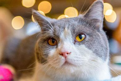 《最终幻想7》原有望登陆世嘉土星 但谈判未获成功